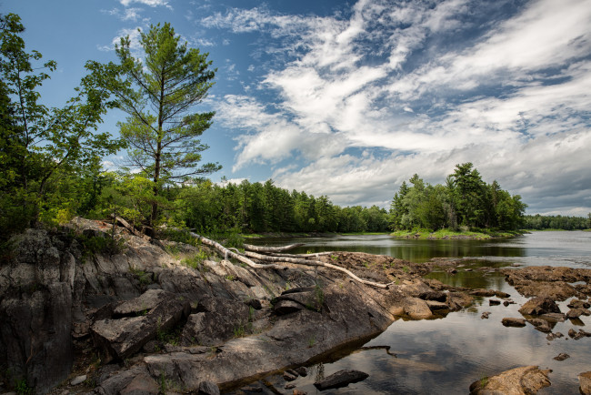 Обои картинки фото природа, реки, озера, река, лес