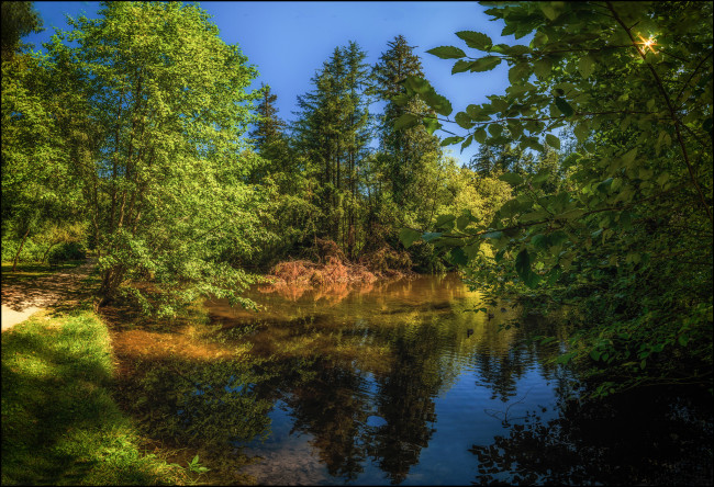 Обои картинки фото природа, реки, озера, река, лес