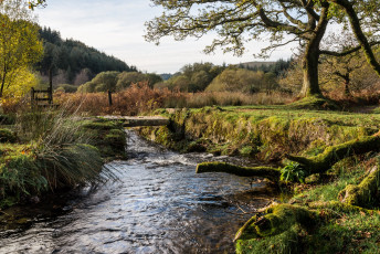 Картинка природа реки озера простор