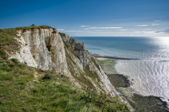 Картинка природа побережье река лес