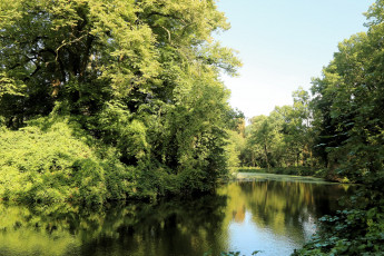 Картинка природа реки озера простор