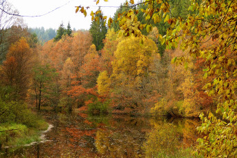 Картинка природа реки озера простор