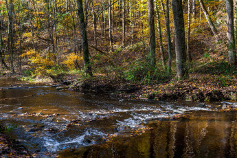 Картинка природа реки озера простор