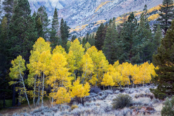 Картинка природа реки озера простор