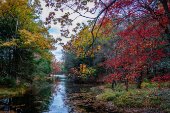 Картинка природа реки озера простор