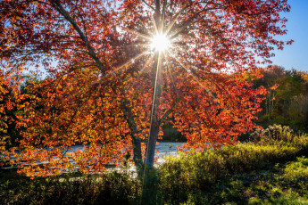 Картинка природа восходы закаты простор