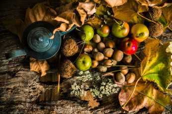 Картинка еда фрукты +ягоды снедь