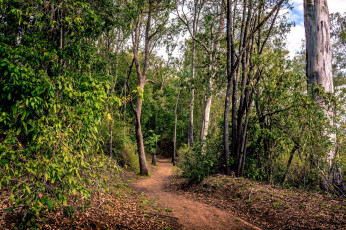 Картинка природа дороги простор