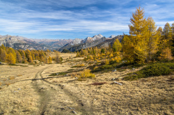 Картинка природа дороги простор