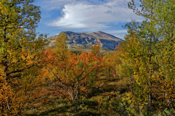 Картинка природа пейзажи простор