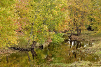 Картинка природа реки озера простор