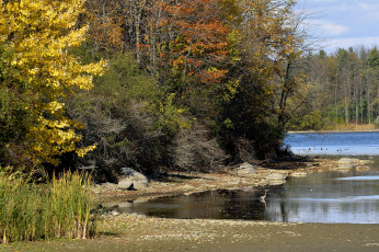 Картинка природа реки озера простор