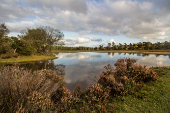 Картинка природа реки озера простор