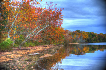 Картинка природа реки озера река лес