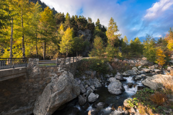 Картинка природа реки озера река лес