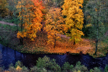 Картинка природа реки озера простор