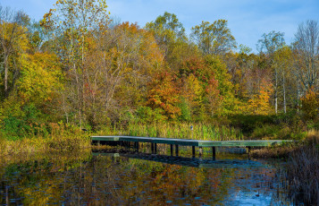 Картинка природа реки озера простор