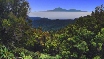 Картинка природа пейзажи простор