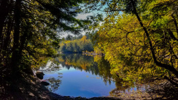 Картинка природа реки озера простор