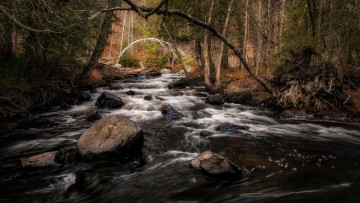 Картинка природа реки озера простор