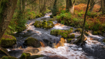 Картинка природа реки озера простор