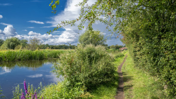 Картинка природа реки озера простор