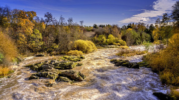 Картинка природа реки озера река лес