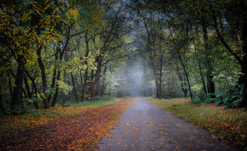 Картинка природа дороги простор