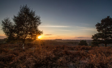 Картинка природа восходы закаты простор