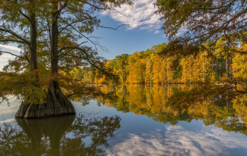 Картинка природа реки озера простор