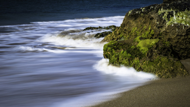 Обои картинки фото природа, побережье, река, лес