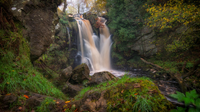 Обои картинки фото природа, водопады, река, лес