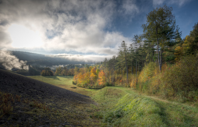 Обои картинки фото природа, пейзажи, река, лес