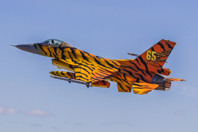 Обои картинки фото f-16am, авиация, боевые самолёты, истребитель