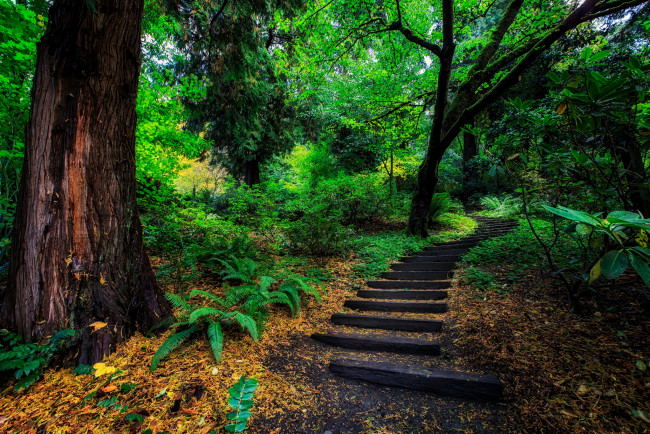 Обои картинки фото природа, дороги, простор