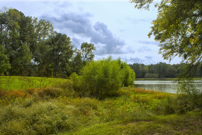 Обои картинки фото природа, пейзажи, простор