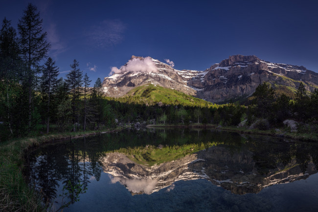 Обои картинки фото природа, реки, озера, лес, река