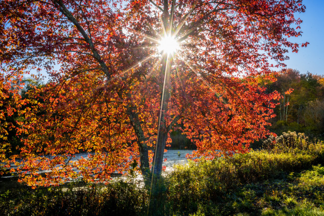 Обои картинки фото природа, восходы, закаты, простор