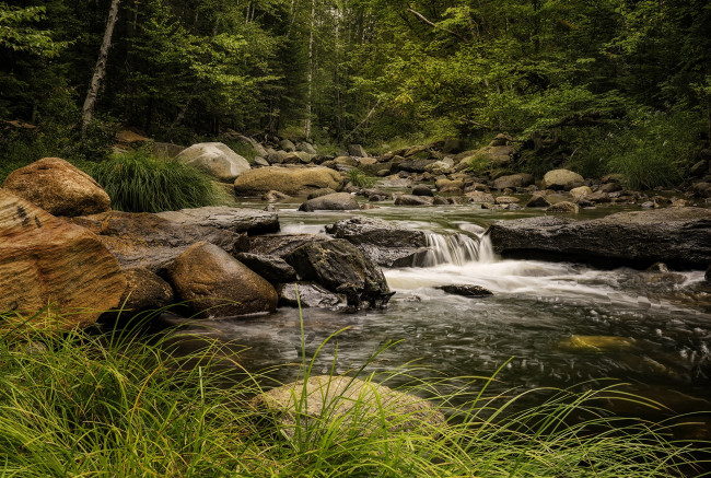 Обои картинки фото природа, реки, озера, река, лес