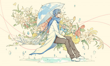 Картинка аниме vocaloid кайто