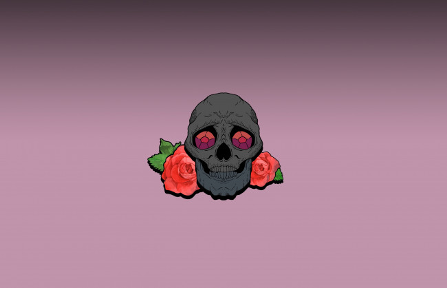 Обои картинки фото рисованное, минимализм, череп, фон, розы