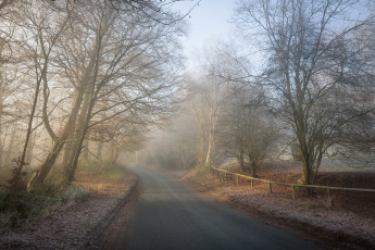 Картинка природа дороги простор