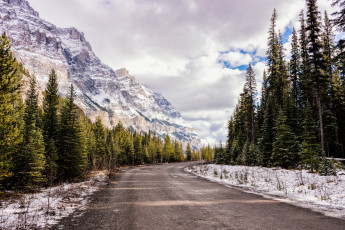 Картинка природа дороги простор