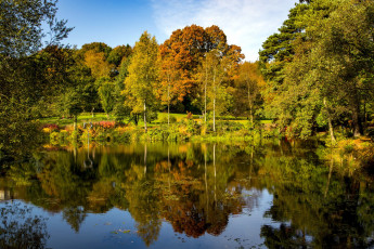 Картинка природа реки озера осень река