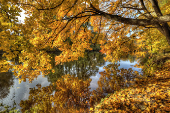 Картинка природа реки озера простор