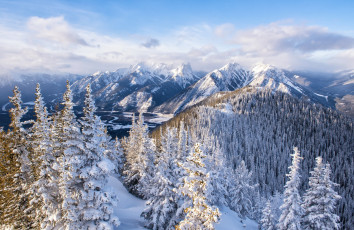 Картинка природа зима простор