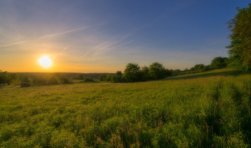 Картинка природа поля простор