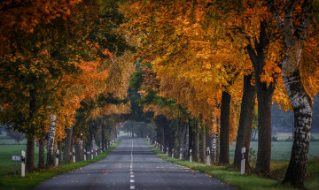 Картинка природа дороги простор