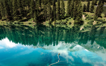 Картинка природа реки озера вода река отражение