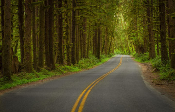 Картинка природа дороги простор